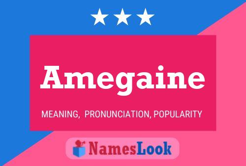 Amegaine Name Poster