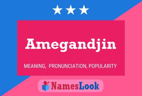 Amegandjin Name Poster