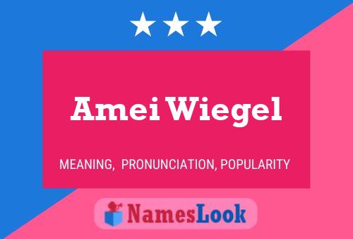 Amei Wiegel Name Poster