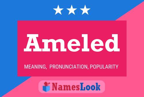 Ameled Name Poster