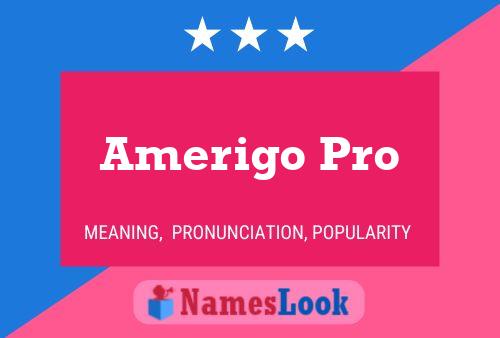 Amerigo Pro Name Poster