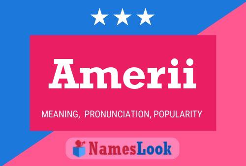 Amerii Name Poster