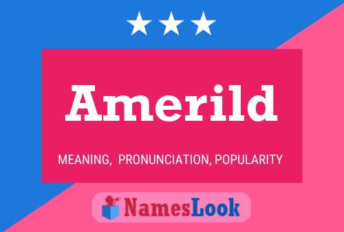 Amerild Name Poster