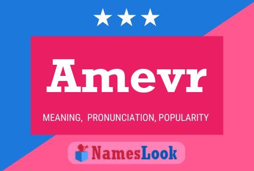 Amevr Name Poster