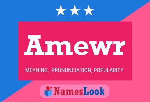 Amewr Name Poster