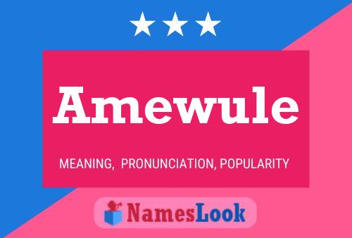 Amewule Name Poster