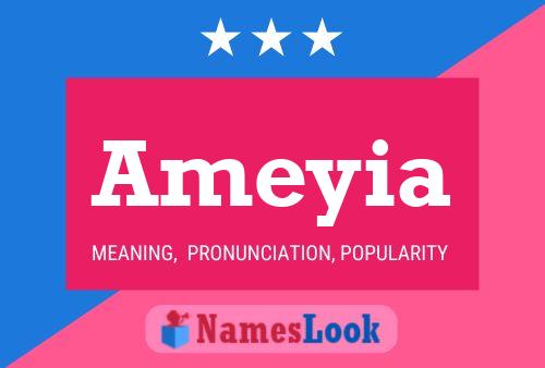 Ameyia Name Poster