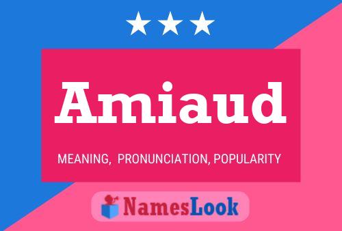 Amiaud Name Poster