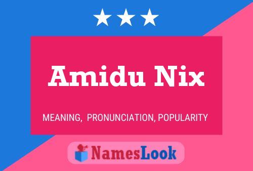 Amidu Nix Name Poster