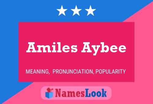 Amiles Aybee Name Poster