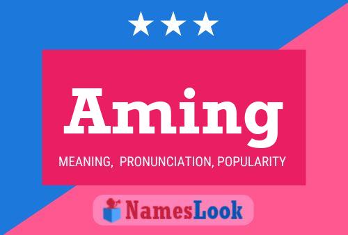 Aming Name Poster