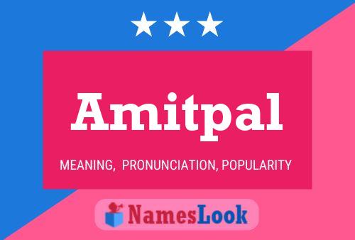 Amitpal Name Poster