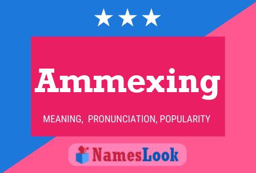 Ammexing Name Poster