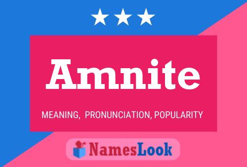 Amnite Name Poster