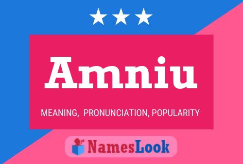 Amniu Name Poster