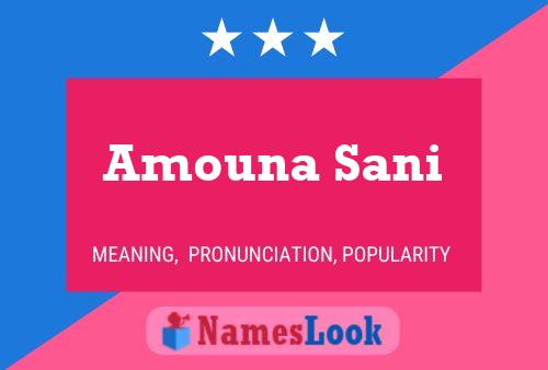 Amouna Sani Name Poster