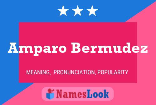 Amparo Bermudez Name Poster