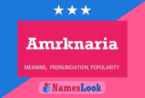 Amrknaria Name Poster