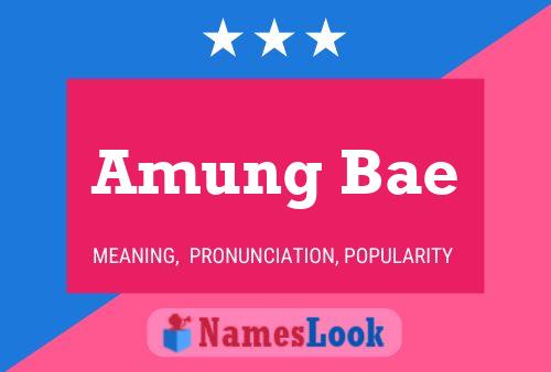 Amung Bae Name Poster