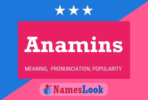 Anamins Name Poster