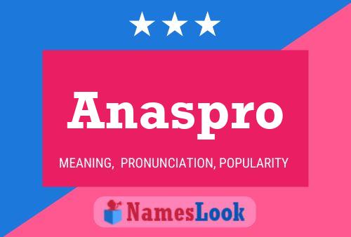 Anaspro Name Poster