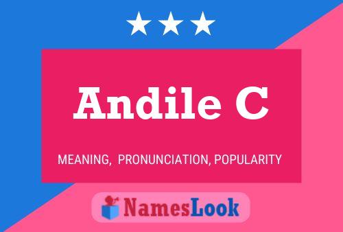 Andile C Name Poster