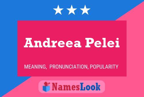 Andreea Pelei Name Poster