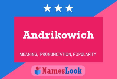 Andrikowich Name Poster