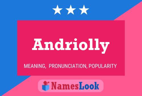 Andriolly Name Poster