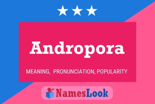 Andropora Name Poster