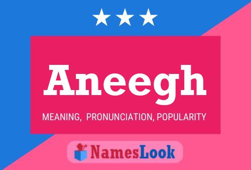 Aneegh Name Poster