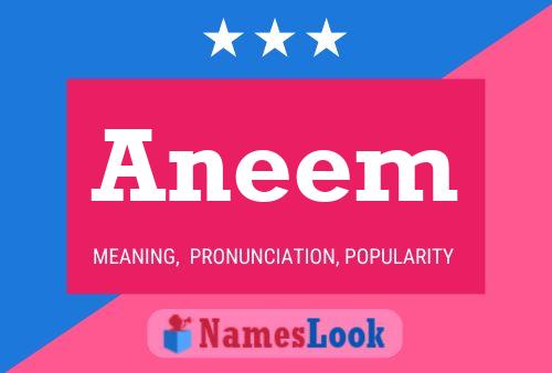 Aneem Name Poster