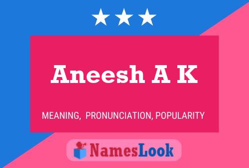 Aneesh A K Name Poster