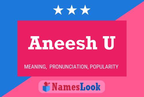 Aneesh U Name Poster