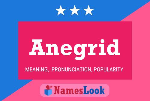 Anegrid Name Poster