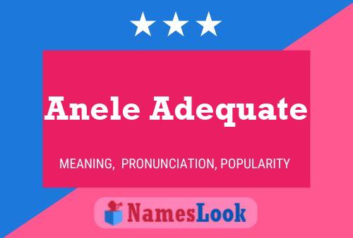 Anele Adequate Name Poster