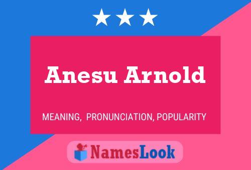 Anesu Arnold Name Poster