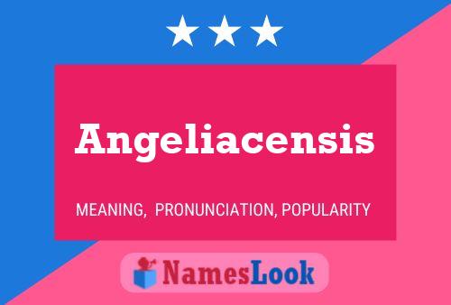 Angeliacensis Name Poster