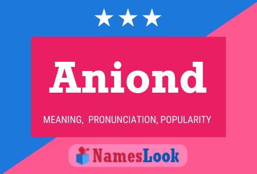 Aniond Name Poster