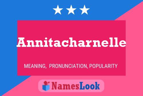 Annitacharnelle Name Poster