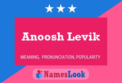 Anoosh Levik Name Poster