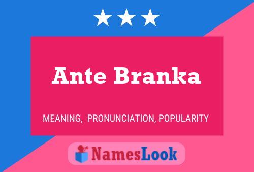 Ante Branka Name Poster