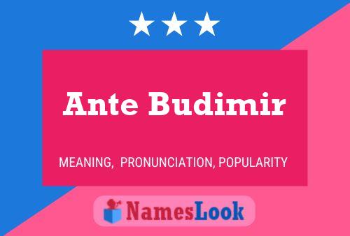 Ante Budimir Name Poster