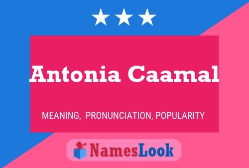 Antonia Caamal Name Poster