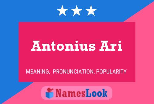 Antonius Ari Name Poster