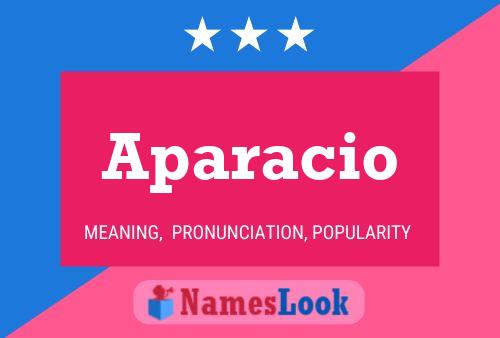 Aparacio Name Poster