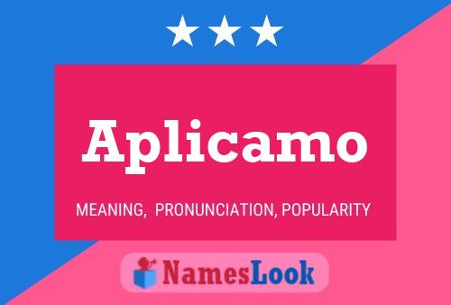 Aplicamo Name Poster