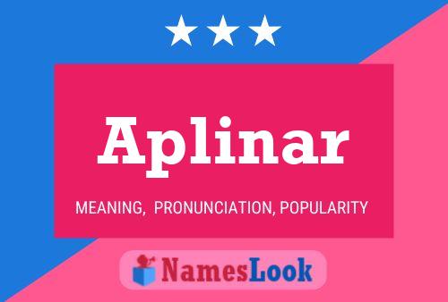 Aplinar Name Poster