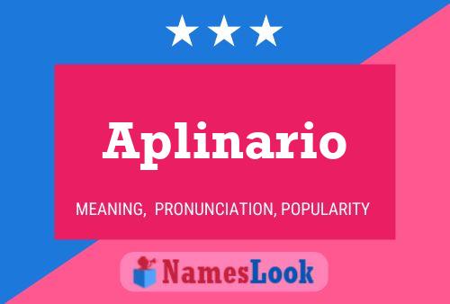 Aplinario Name Poster