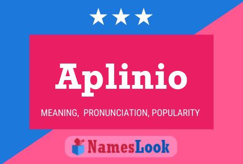 Aplinio Name Poster